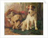 Left in Charge - A Fox Terrier with Game by Philip Eustace Stretton