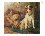 Left in Charge - A Fox Terrier with Game by Philip Eustace Stretton