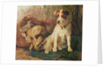 Left in Charge - A Fox Terrier with Game by Philip Eustace Stretton