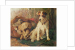 Left in Charge - A Fox Terrier with Game by Philip Eustace Stretton