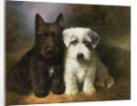 A Scottish and a Sealyham Terrier by Lilian Cheviot