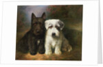 A Scottish and a Sealyham Terrier by Lilian Cheviot