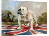 British Bulldog by English School