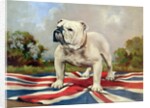 British Bulldog by English School