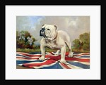 British Bulldog by English School