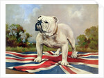 British Bulldog by English School