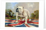 British Bulldog by English School