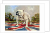 British Bulldog by English School