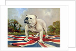 British Bulldog by English School