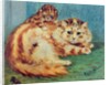 Cheeky Mouse! by Louis Wain