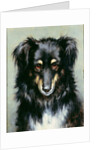A Black and Tan Collie, 1890 by Robert Morley