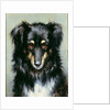 A Black and Tan Collie, 1890 by Robert Morley