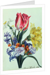 Spring Flowers, 1815 by Anne Hooke