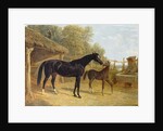 Levity, the property of J.C.Cockerill Esq., with her foal Queen Elizabeth, the property of Lord Dorchester, 1843 by John Frederick Herring Snr