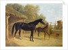 Levity, the property of J.C.Cockerill Esq., with her foal Queen Elizabeth, the property of Lord Dorchester, 1843 by John Frederick Herring Snr