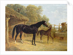 Levity, the property of J.C.Cockerill Esq., with her foal Queen Elizabeth, the property of Lord Dorchester, 1843 by John Frederick Herring Snr