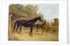 Levity, the property of J.C.Cockerill Esq., with her foal Queen Elizabeth, the property of Lord Dorchester, 1843 by John Frederick Herring Snr