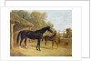 Levity, the property of J.C.Cockerill Esq., with her foal Queen Elizabeth, the property of Lord Dorchester, 1843 by John Frederick Herring Snr