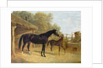 Levity, the property of J.C.Cockerill Esq., with her foal Queen Elizabeth, the property of Lord Dorchester, 1843 by John Frederick Herring Snr