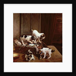 Tomorrow will be Friday by John Hayes