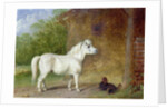 A Shetland pony and a King Charles spaniel by Martin Theodore Ward