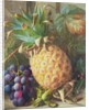 Still Life of a Pineapple and Grapes by Charles H. Slater