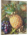 Still Life of a Pineapple and Grapes by Charles H. Slater
