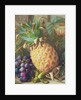 Still Life of a Pineapple and Grapes by Charles H. Slater