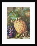 Still Life of a Pineapple and Grapes by Charles H. Slater