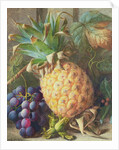Still Life of a Pineapple and Grapes by Charles H. Slater