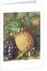 Still Life of a Pineapple and Grapes by Charles H. Slater