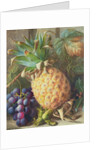 Still Life of a Pineapple and Grapes by Charles H. Slater