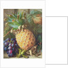 Still Life of a Pineapple and Grapes by Charles H. Slater