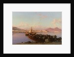 View of the Bay of Naples by Alessandro la Volpe