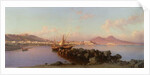 View of the Bay of Naples by Alessandro la Volpe