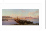 View of the Bay of Naples by Alessandro la Volpe
