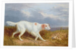 A Setter on the Moor by Philip Reinagle