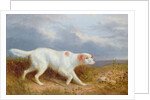 A Setter on the Moor by Philip Reinagle