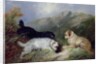 Terriers Rabbiting by George Armfield