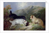 Terriers Rabbiting by George Armfield