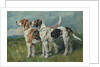 Pair of Foxhounds, 1900 by John Emms