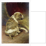 Give a Dog a Bone, 1888 by William Henry Hamilton Trood