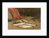 Brown trout on a river bank by William Geddes