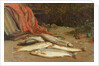 Brown trout on a river bank by William Geddes