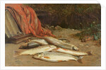 Brown trout on a river bank by William Geddes