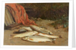 Brown trout on a river bank by William Geddes