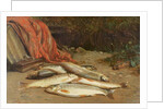 Brown trout on a river bank by William Geddes