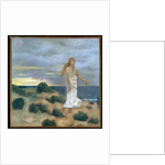Woman by the Sea, 1887 by Pierre Puvis de Chavannes