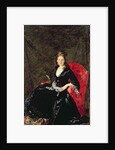 Portrait of Mme N.M. Polovtsova, 1876 by Charles Emile Auguste Carolus-Duran