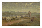Landscape with a Flock of Sheep, 1872 by Charles Emile Jacque